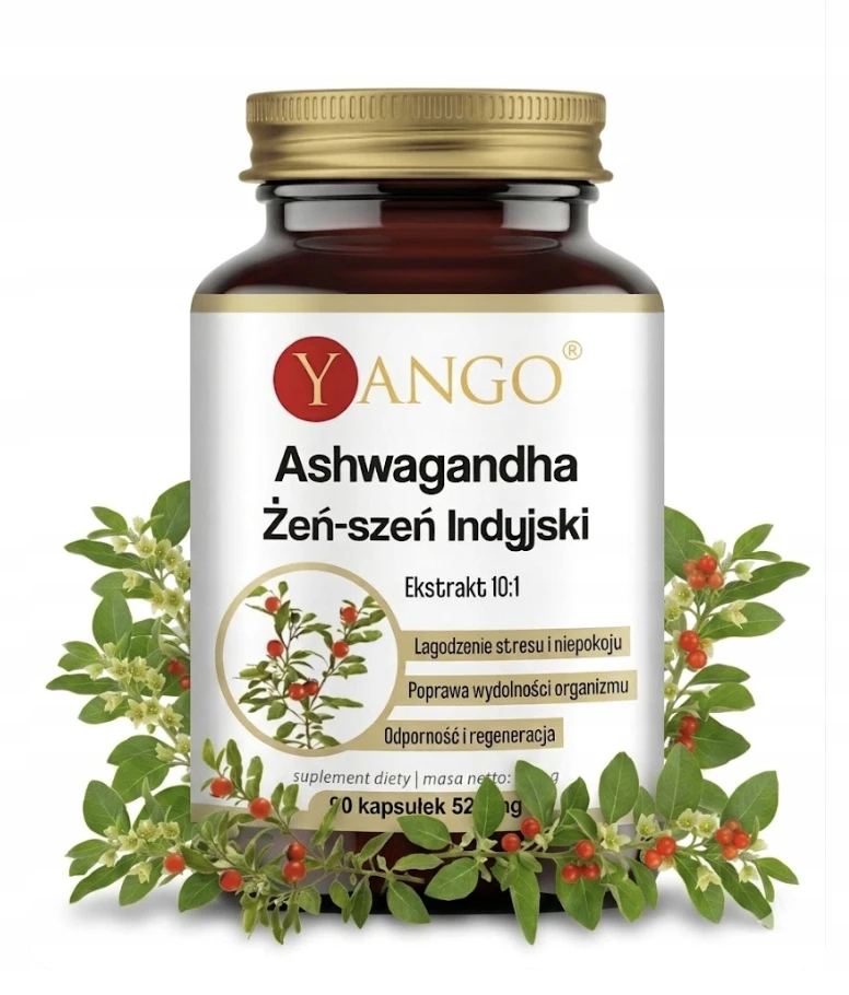 Ashwagandha ekstrakt 10:1 zdrowe serce i głowa 90k 1